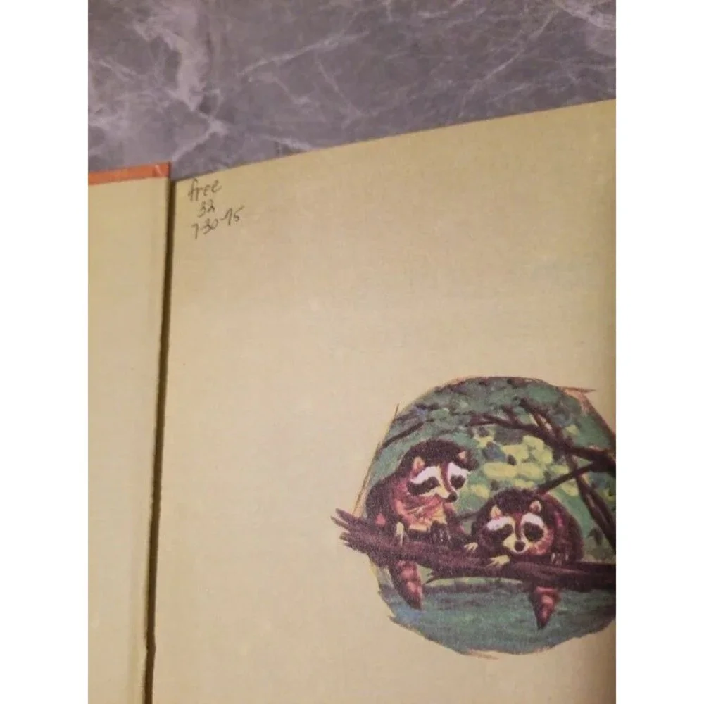 Bundle of vintage children's books